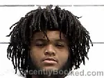 Mugshot of JAYSHUN DAVION WEBB