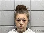 Mugshot of Audrey Michelle Harris booked in Navarro County, Texas on October 1, 2026