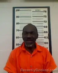 Mugshot of BUTCH O BRINSON