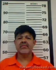 Mugshot of JOSE LOES MEDRANO-GONZALEZ