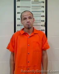 Mugshot of BRIAN WAYNE BROWN