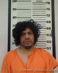 Booking photo from Madison County, Florida