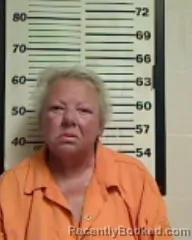 Mugshot of YVONNE AGNER PLAIN booked in Madison County, Florida on April 1, 2026