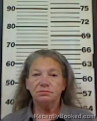 Mugshot of SHERRI LYNN FOX booked in Madison County, Florida on April 22, 2026