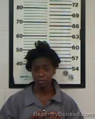 Mugshot of Ny'kerria Janesia Gallon booked in Madison County, Florida on August 27, 2026