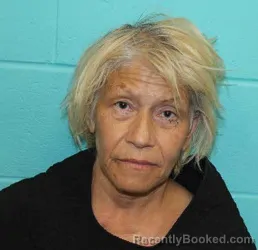 Mugshot of THERESA JANE MENDEZ