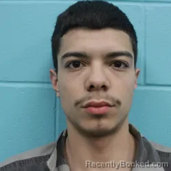 Mugshot of JESUS CRUZ