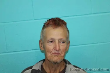 Mugshot of TERESA VEE GRAYSON