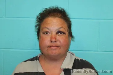 Mugshot of TARA IRENE BROWN booked in Nolan County, Texas on March 20, 2026