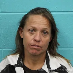 Mugshot of TAMMY KAY CASTILLO booked in Nolan County, Texas on April 2, 2026