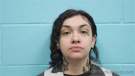 Mugshot of EVA ESPERANZA ORNELAS booked in Nolan County, Texas on April 20, 2026