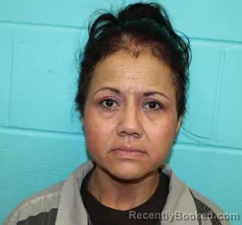 Mugshot of TONI MARIE HINOJOS booked in Nolan County, Texas on April 23, 2026