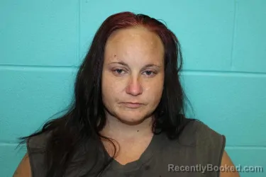 Mugshot of SHANNA RENAE LAMBERT booked in Nolan County, Texas on April 28, 2026