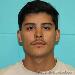 Mugshot of ELVIS JOAN MELENDEZ booked in Nolan County, Texas on April 28, 2026