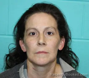 Mugshot of SARAH JANE WERNER booked in Nolan County, Texas on July 10, 2026