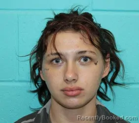 Mugshot of CIARA DAWN BISSETT booked in Nolan County, Texas on August 4, 2026