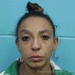 Mugshot of Tammy Faye Williams booked in Nolan County, Texas on September 28, 2026