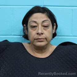 Mugshot of Lisa Marie Rotan booked in Nolan County, Texas on October 1, 2026