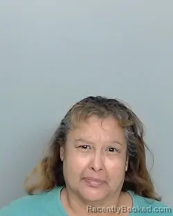 Mugshot of DIANA ZAMORA