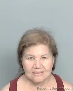 Mugshot of MARIA L. ALEMANIA booked in Nueces County, Texas on June 11, 2026