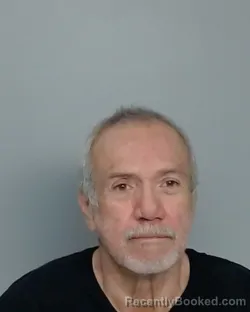 Mugshot of NOE VILLARREAL