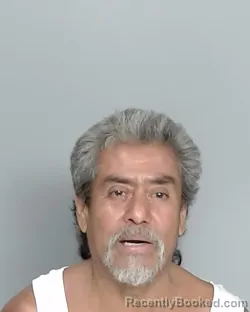 Mugshot of HECTOR HERNANDEZ booked in Nueces County, Texas on June 17, 2026