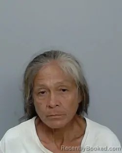 Mugshot of Estella Candida Elizondo booked in Nueces County, Texas on August 29, 2026