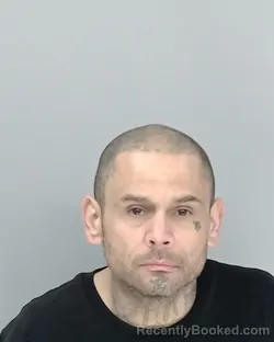 Mugshot of RICHARD HERNANDEZ