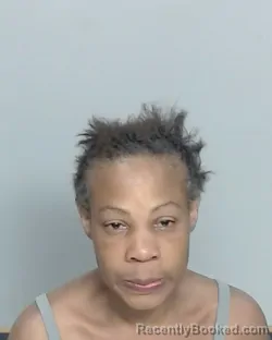 Mugshot of BRIDGET LASHON HORTON