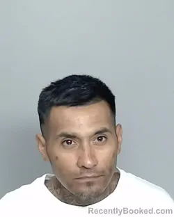 Mugshot of ERIK MIJAREZ