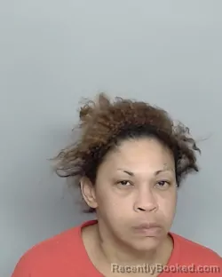 Mugshot of STEPHANIE CASTILLO