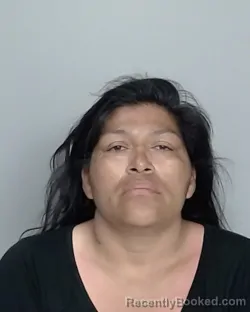 Mugshot of CAMILA GARCIA