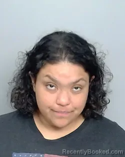 Mugshot of MINDY BOONE