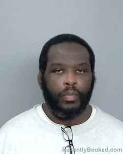 Mugshot of RITCHIE N FARR