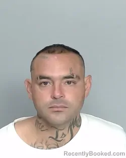 Mugshot of ISRAEL MALDONADO