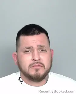 Mugshot of LOUIS H REYES