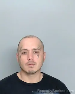 Mugshot of JOHNNY REYES
