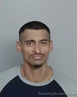 Mugshot of JOEL A ORTIZ