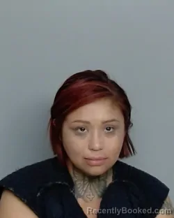 Mugshot of DORA DANIELLE ALEMAN