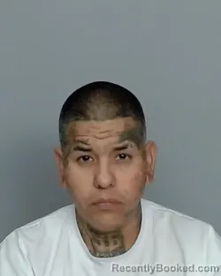 Mugshot of MONICA GONZALEZ