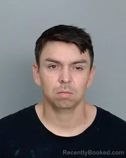 Mugshot of ENRIQUE JESUS SALINAS