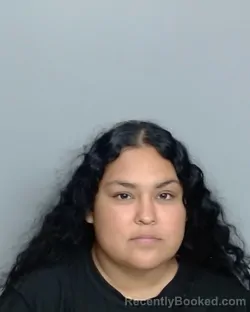Mugshot of ANABEL DAVILA