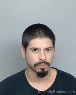 Mugshot of ROMAN ALEXANDER CANALES booked in Nueces County, Texas on June 8, 2026