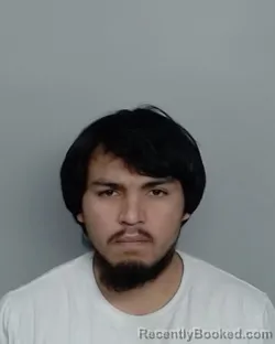 Mugshot of VICENTE E. ECHEBARRIA