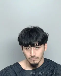 Mugshot of ROMAN GABRIEL FELAN