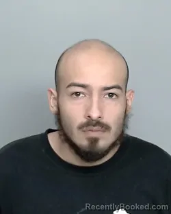 Mugshot of PABLO LEON