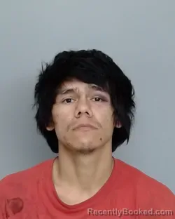Mugshot of VENTURA ZAMUDIO