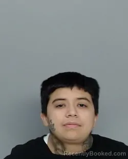 Mugshot of Brianna Ramirez booked in Nueces County, Texas on August 27, 2026