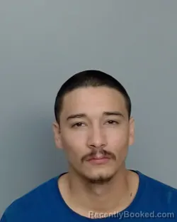 Mugshot of WILLIAM HENRY HOLMES