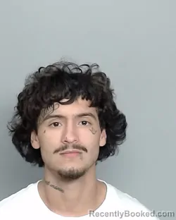 Mugshot of DAVID FUENTES